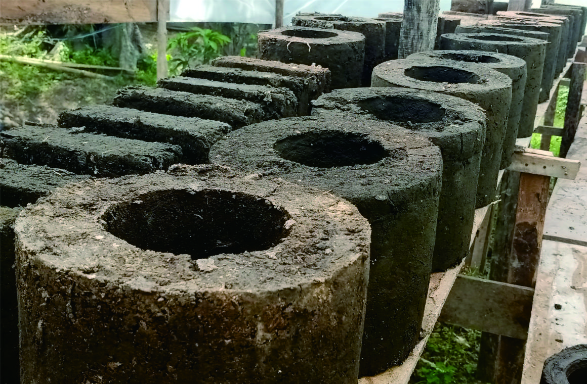 Kalam Blok-Limbah Sapi Penuh Nutrisi