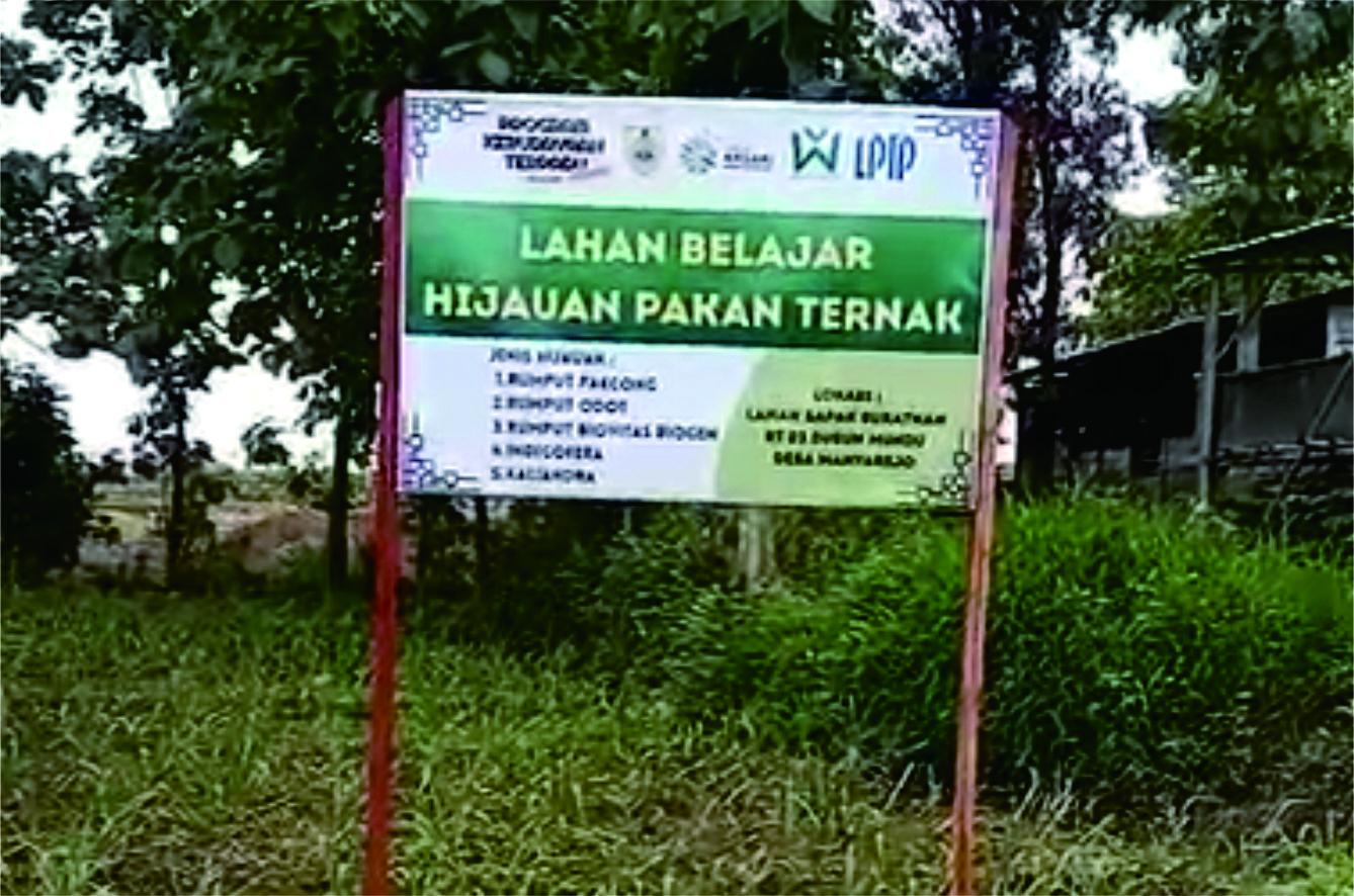 Upaya Pakan Ternak Mandiri Melalui Lahan Belajar