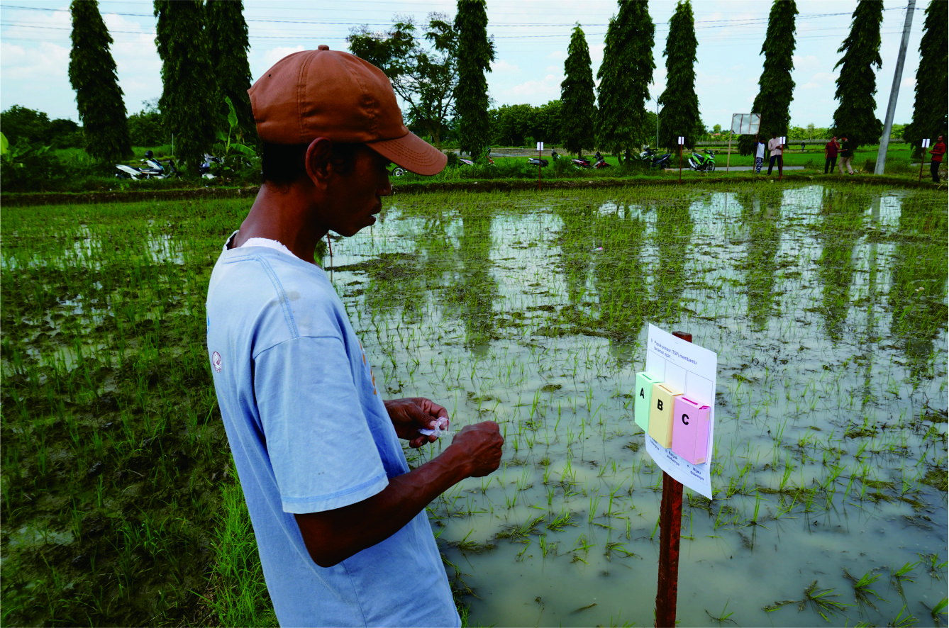 Pre Test sebagai Langkah Awal Sekolah Lapang