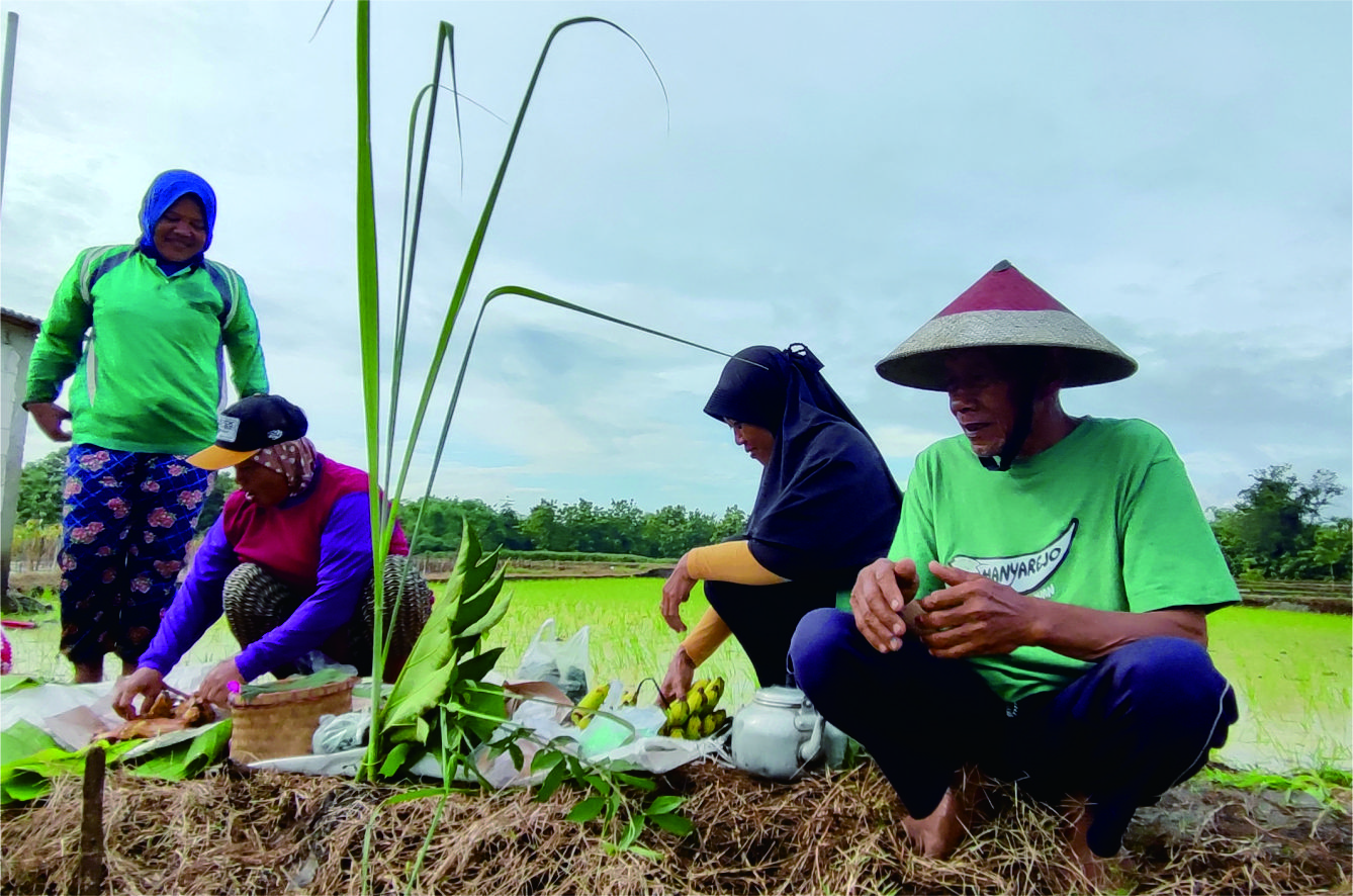 Melestarikan Tradisi Awal Tanam Padi