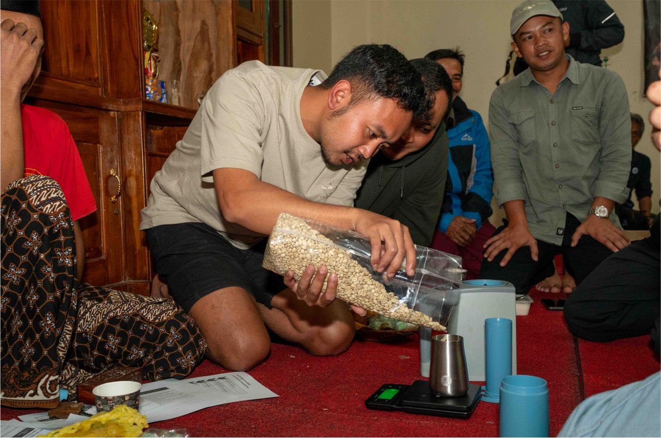 PASCAPANEN KOPI LALU JADI APA? PASCAPANEN KOPI LALU JADI APA?