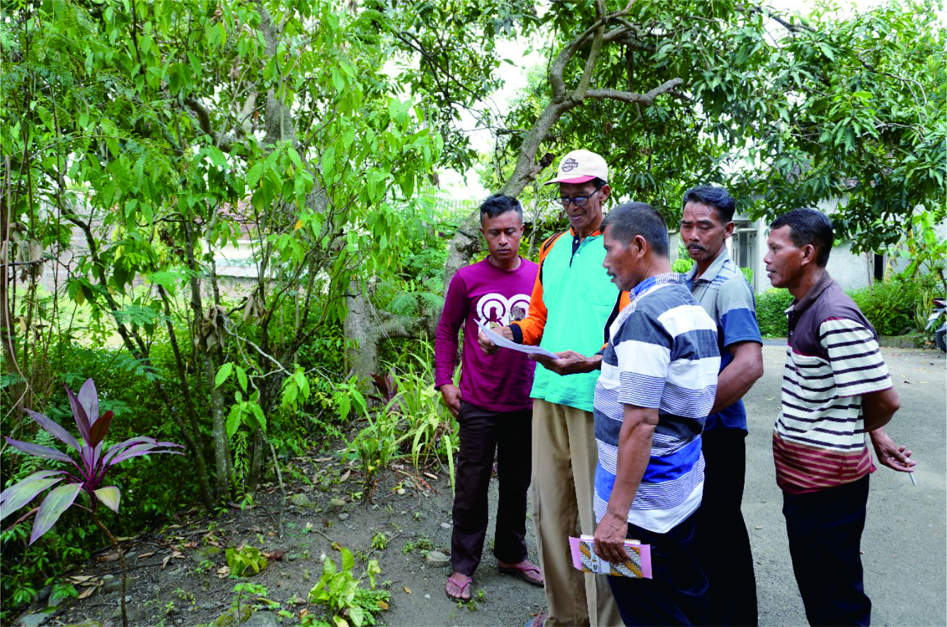 Hijauan Sumber Utama Pakan Ternak