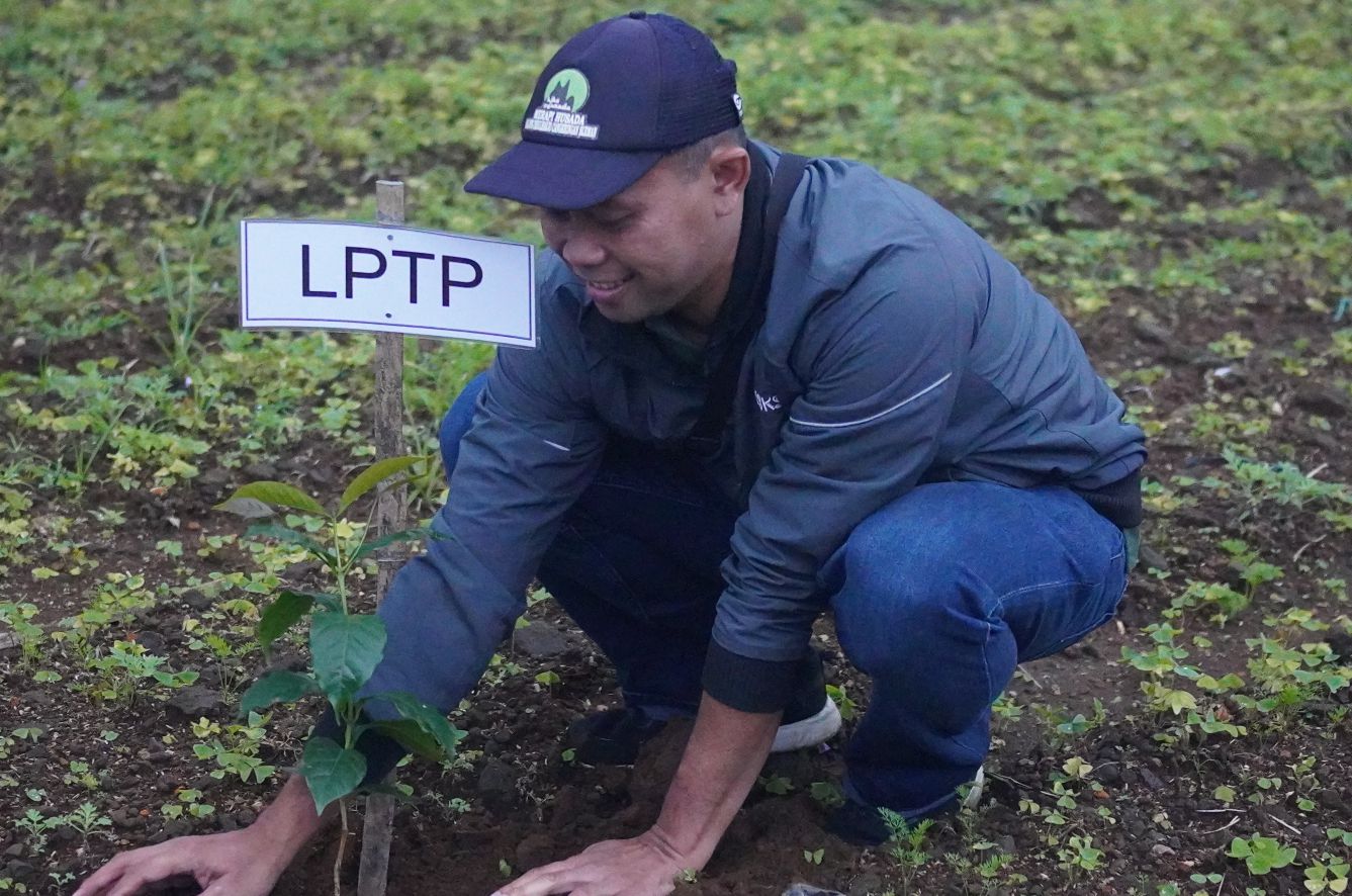 Tanam 1000 Pohon Kopi, Jadi Upaya Konservasi Desa Sigedang