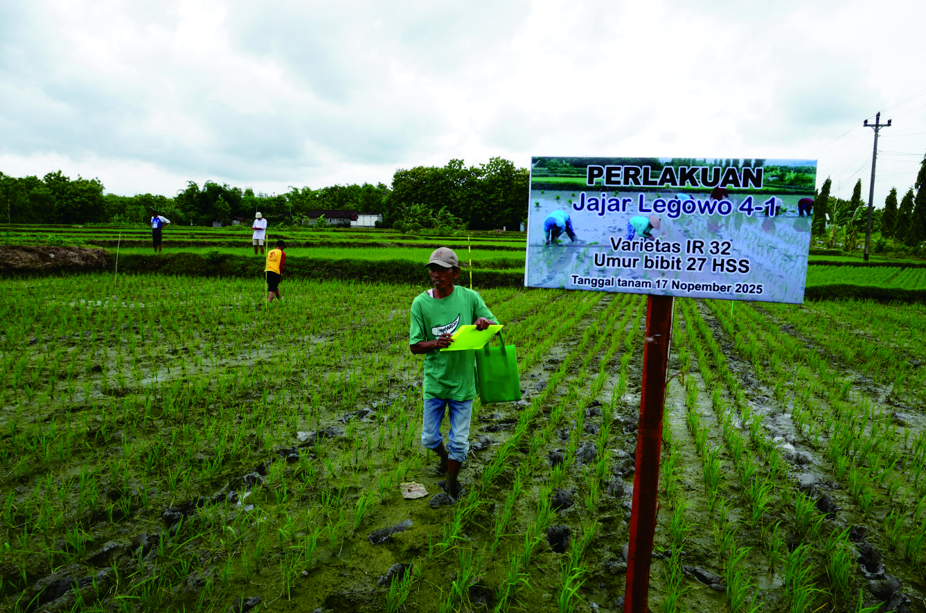 Teknik Pengamatan Tanaman dan Mengenal Bibit Sehat