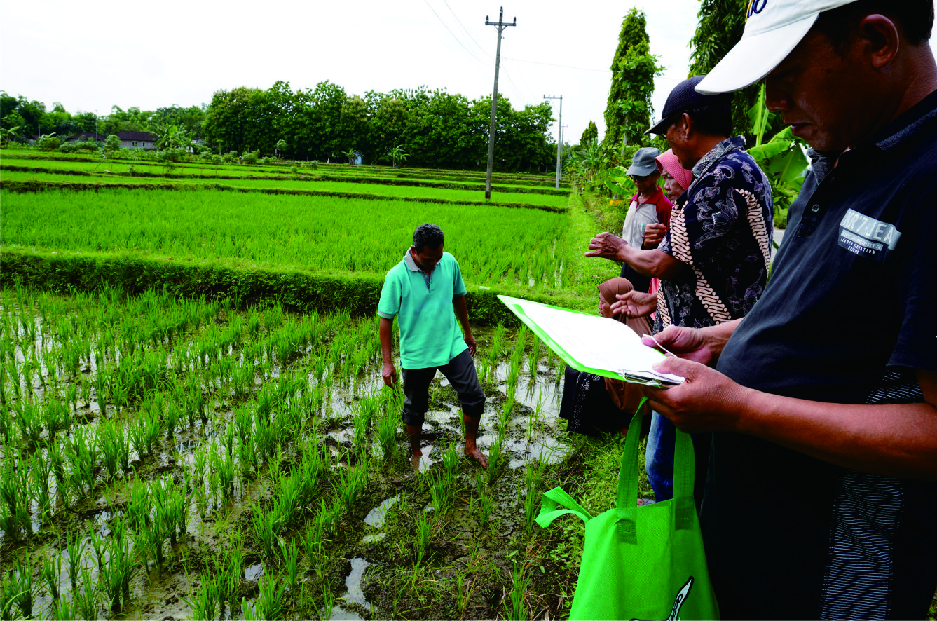 Pengamatan Agro Ekosistem dan Pengenalan Pupuk Pengamatan Agro Ekosistem dan Pengenalan Pupuk