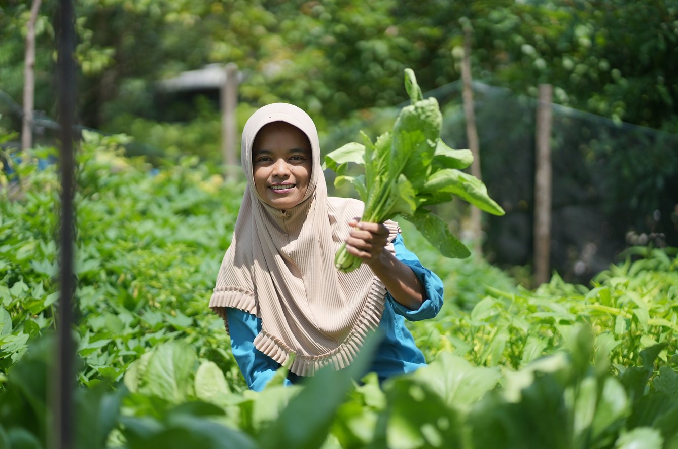 Wartiyem: Dari Pekarangan Menjadi Sumber Penghidupan Dan Semangat Bertani Pangan Untuk Keluarga.
