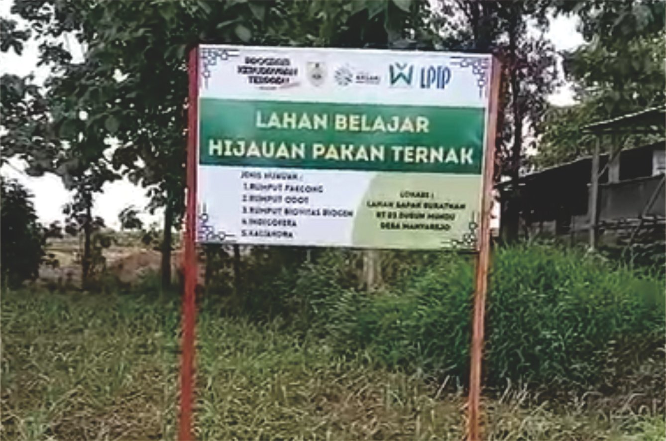 Upaya Mandiri Melalui Lahan Belajar Hijauan Pakan Ternak