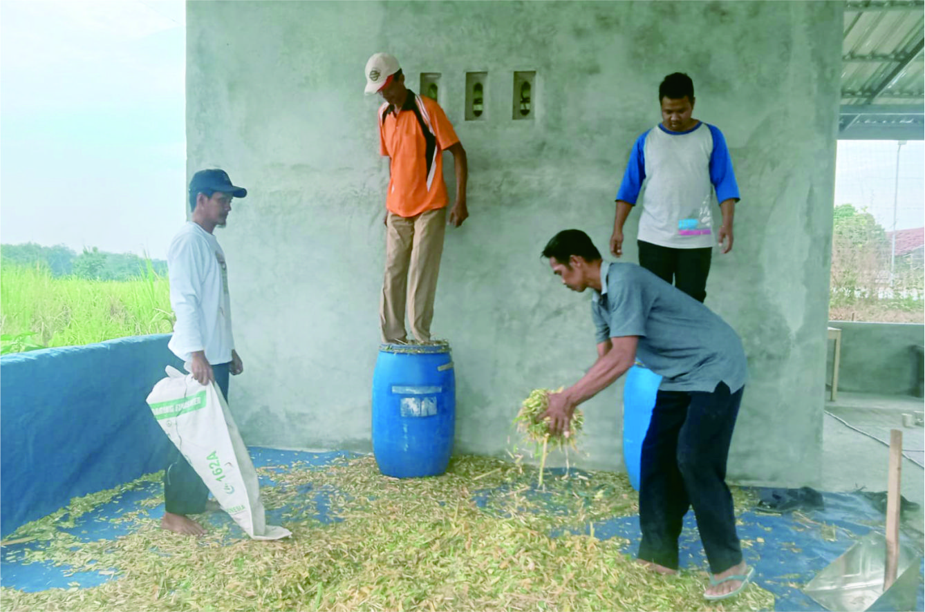 Silase Berbahan Baku Daun, Pasti Bisa