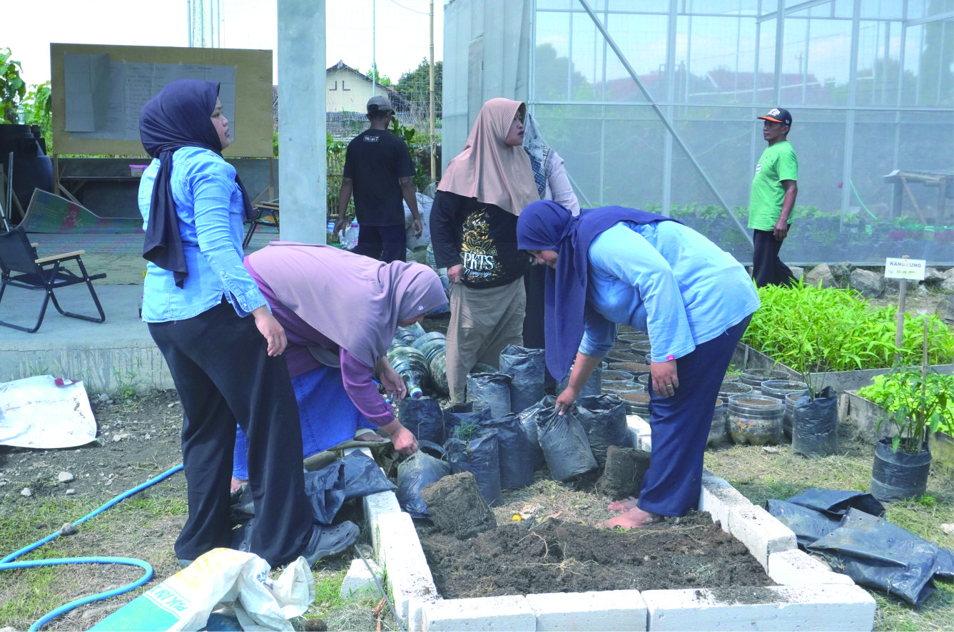 Pusat Belajar Budidaya Pangan Sehat bagi Masyarakat