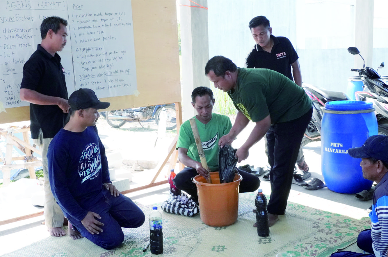 ‎Pembuatan Nitrobakter untuk Kurangi Ketergantungan Pupuk Kimia