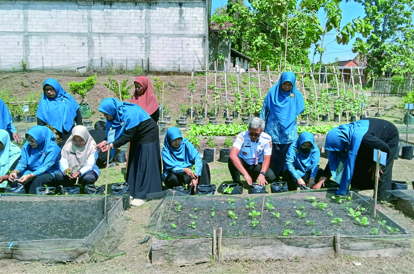 Sinau Bareng Budidaya Sayuran Sehat