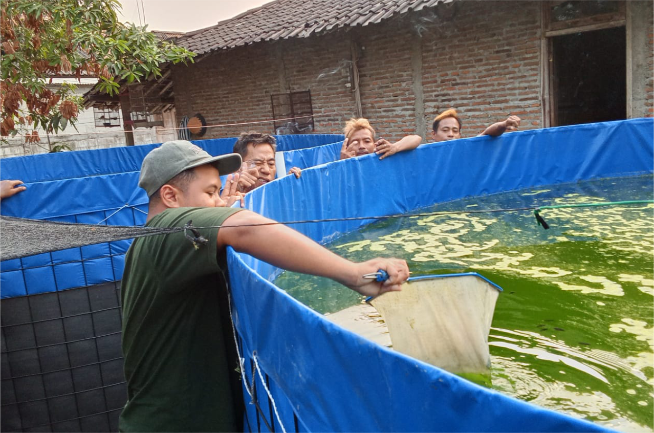 Tebar Bibit Gurame Tandai Dimulainya Praktik Sekolah Lapang Perikanan